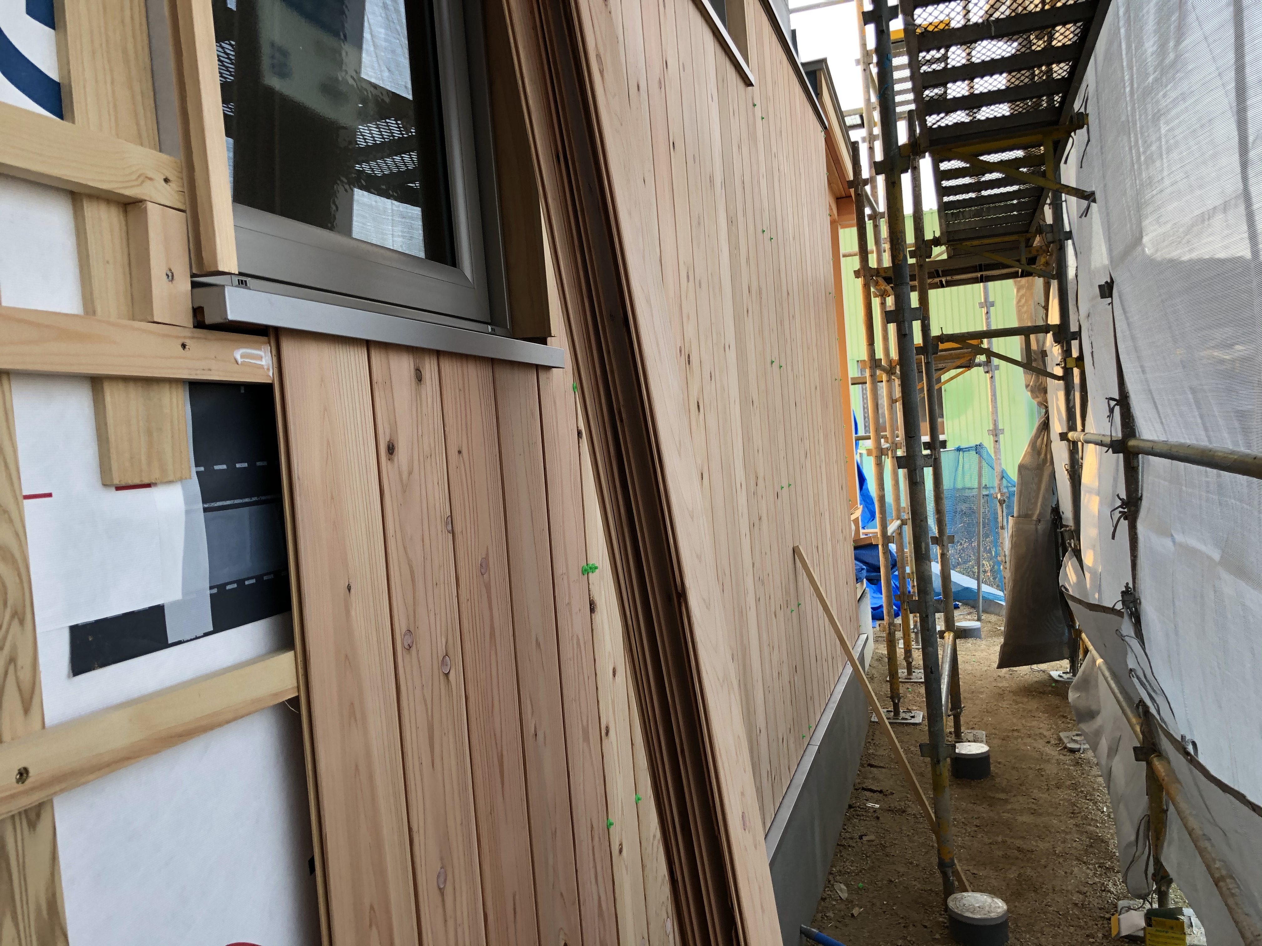 IMG_1376[1].JPG