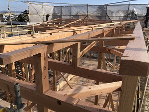 IMG_2838[1].jpg